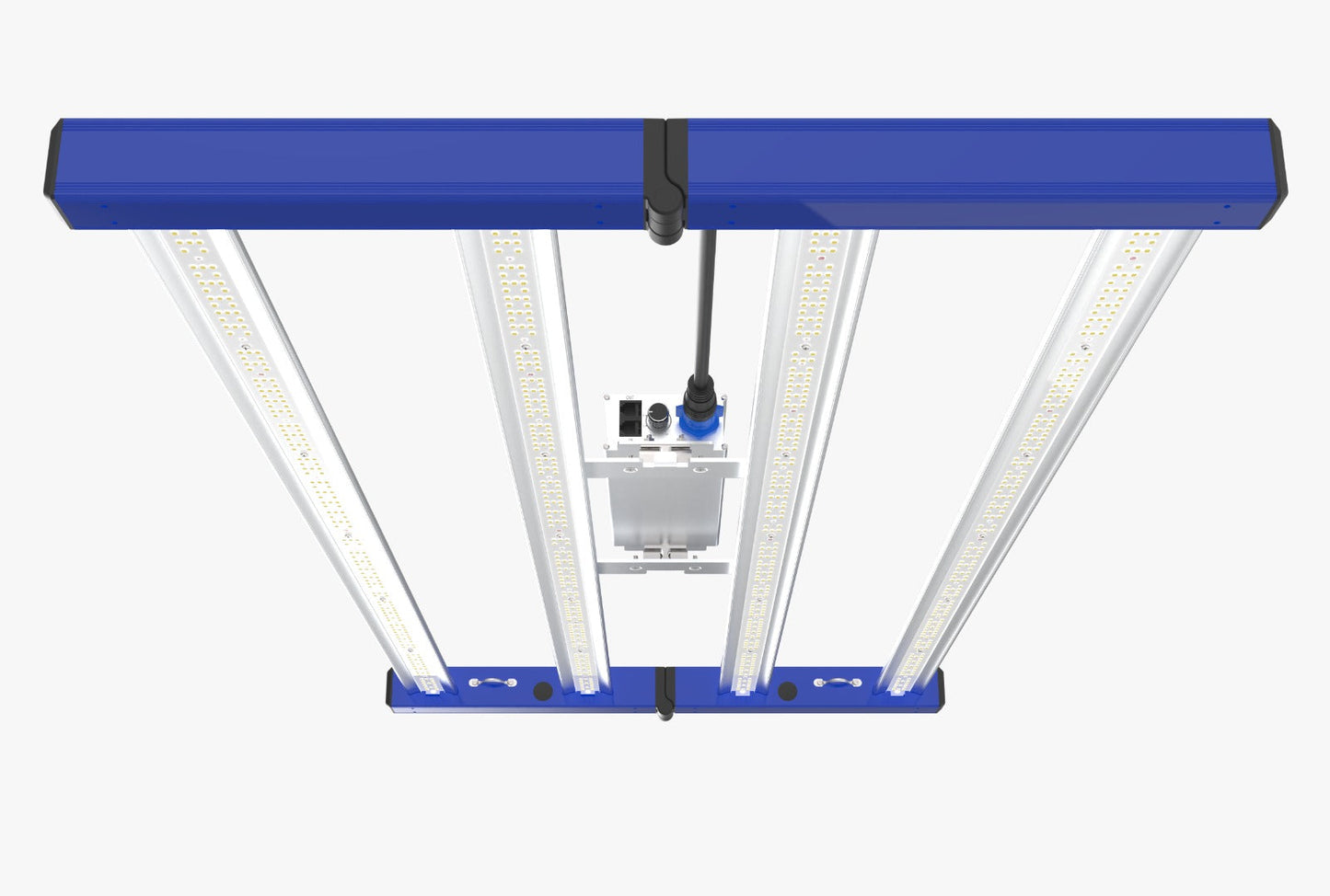 Tarantula Revolution 320
