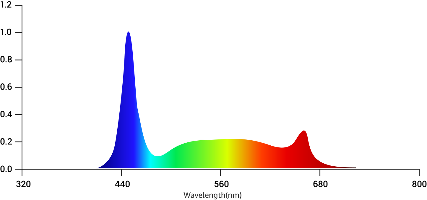 Tarantula Reproduction Bar (Pair)