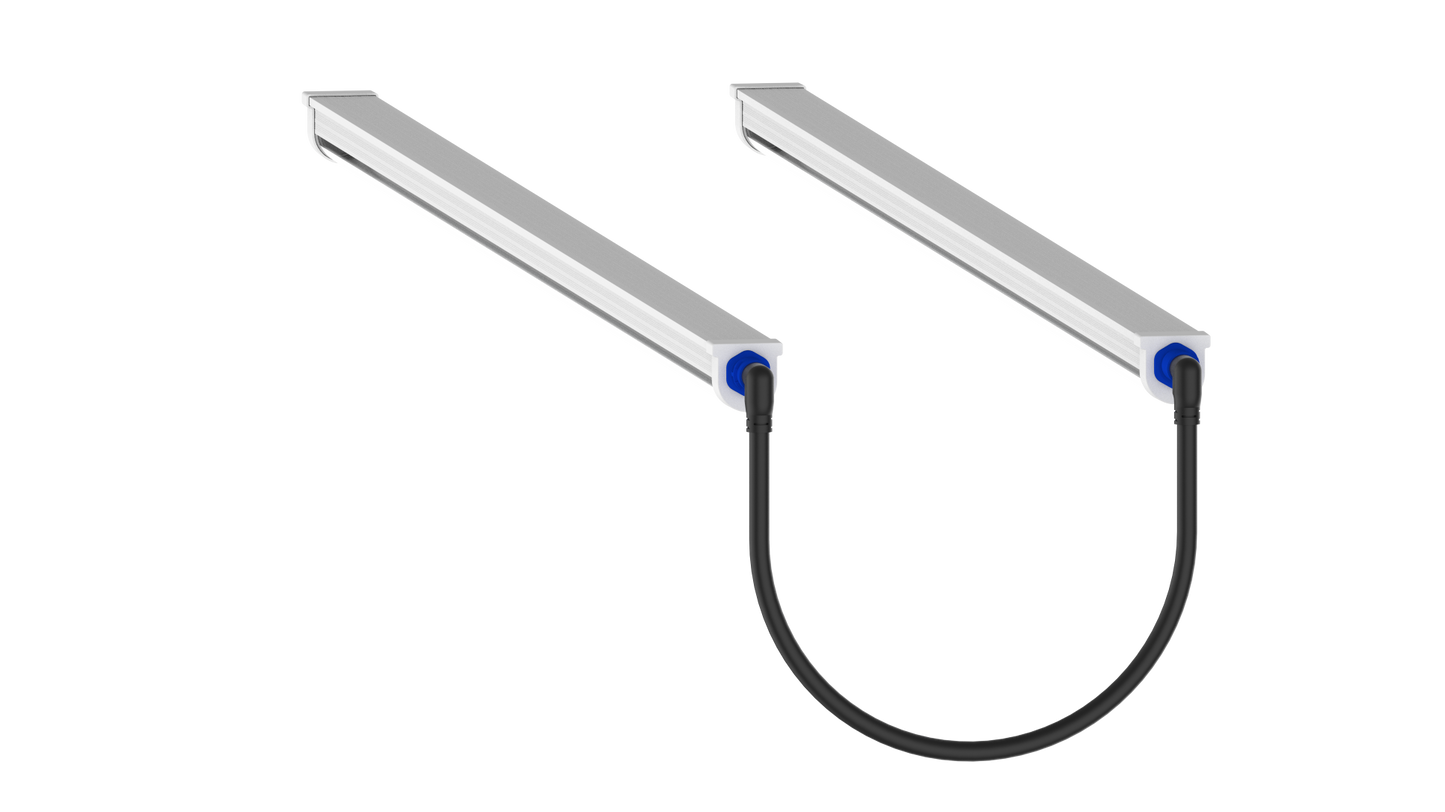 Tarantula Reproduction Bar (Pair)