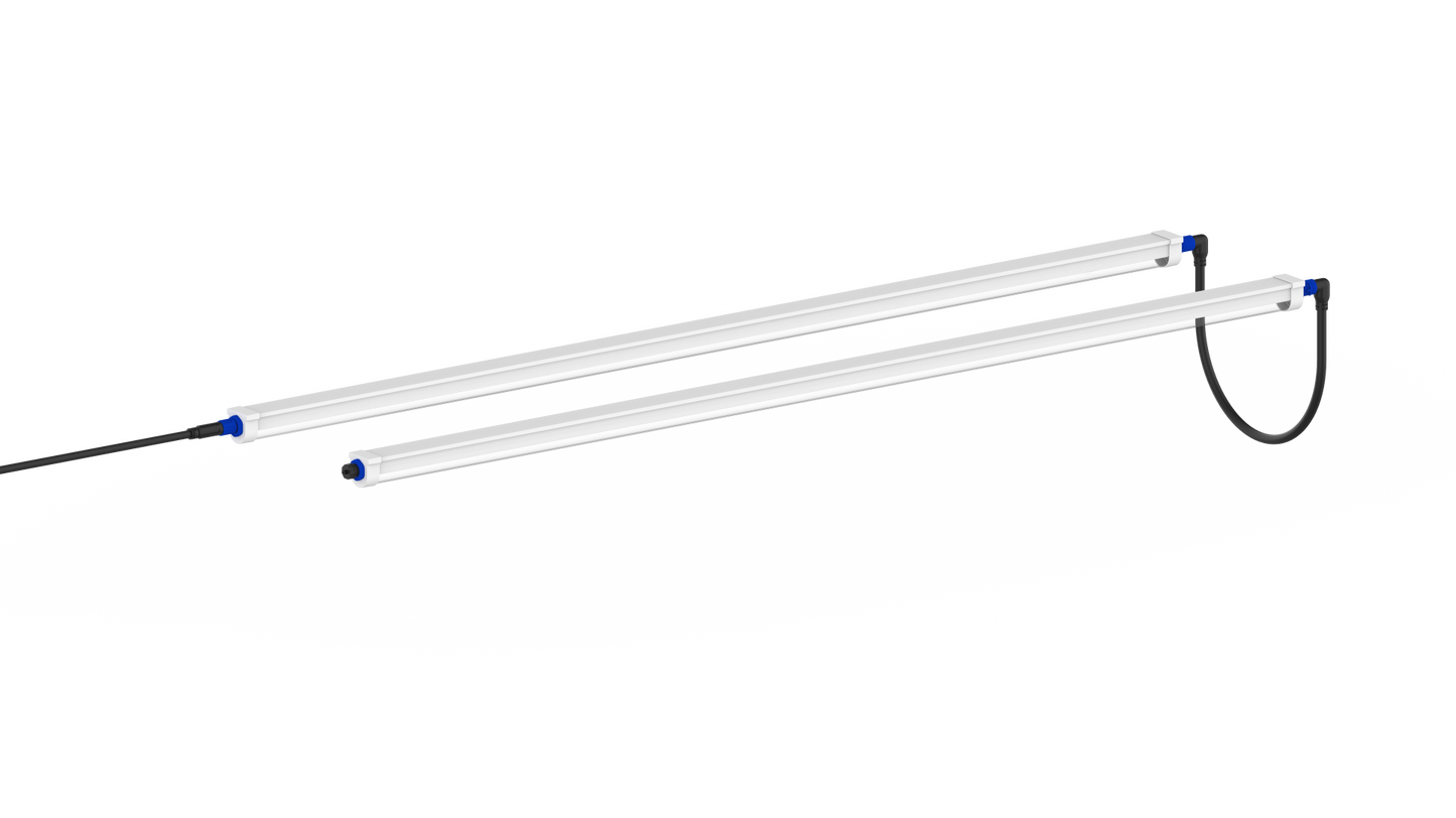 Tarantula Reproduction Bar (Pair)