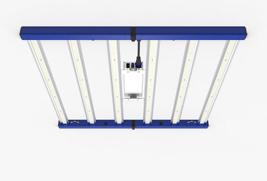 Tarantula Revolution 480