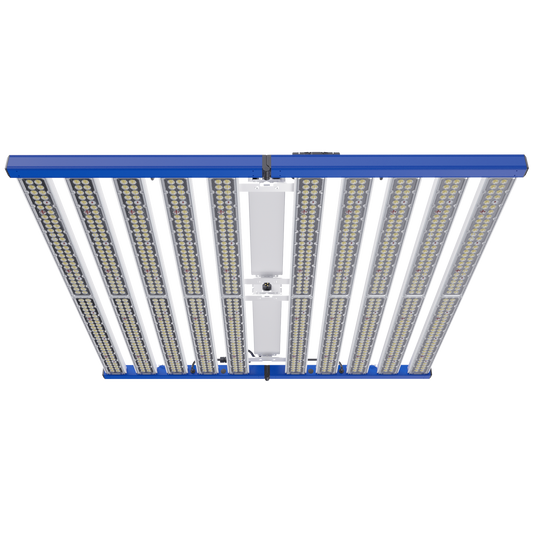 Tarantula Borg Evolution Ultra