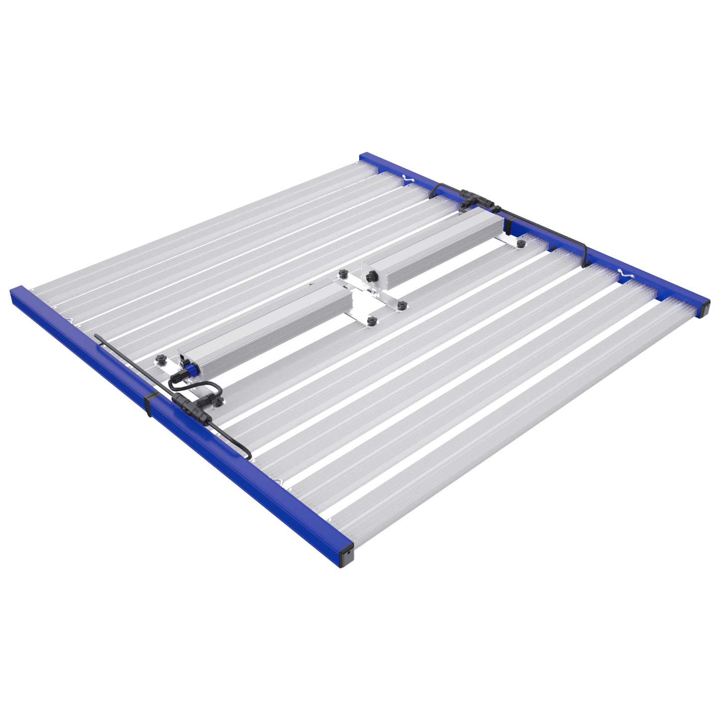 Tarantula Borg Evolution Ultra