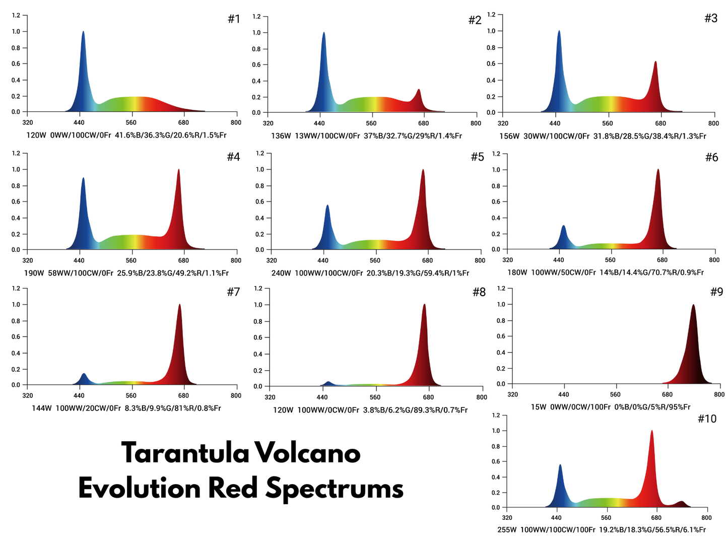 Tarantula Volcano Evolution Red