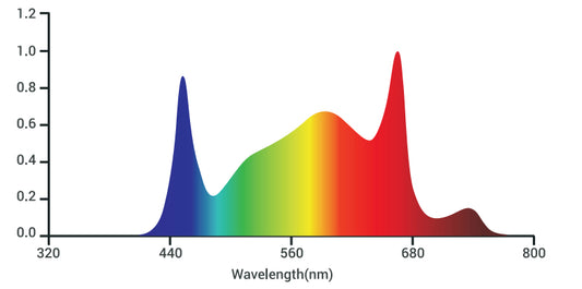 Tarantula Tent Ultimate 3x3