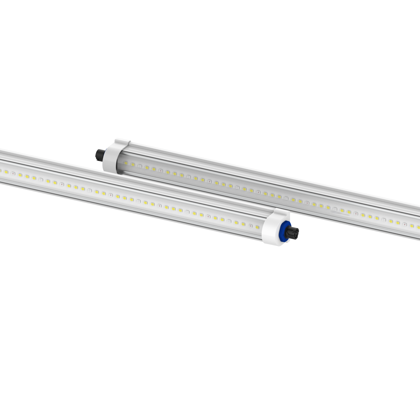 Tarantula Veggie Bar (Pair) – Grand Master LEDs Canada